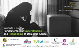 The changing landscape of Domestic Abuse – The impact of a multi-agency educational initiative — image 1
